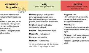 Ostguide för gravida: Välj hårdost som parmesan, smältost, fetaost, mozzarella, ricotta, halloumi. Undvik mögelost och kittost.