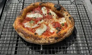En perfekt napolitansk pizza, nybakad i ugnen, vilar på ett galler. Den har en bubblig, lätt bränd kant och är täckt av tomatsås och smält mozzarella.