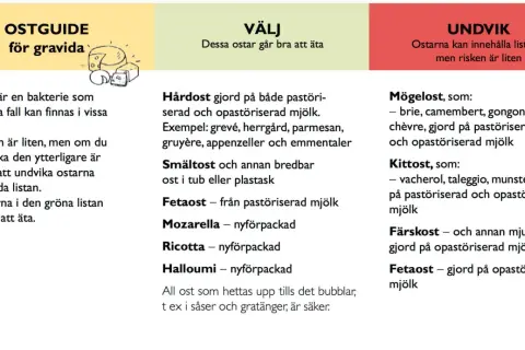 Ostguide för gravida: Välj hårdost som parmesan, smältost, fetaost, mozzarella, ricotta, halloumi. Undvik mögelost och kittost.