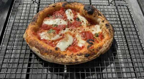 En perfekt napolitansk pizza, nybakad i ugnen, vilar på ett galler. Den har en bubblig, lätt bränd kant och är täckt av tomatsås och smält mozzarella.