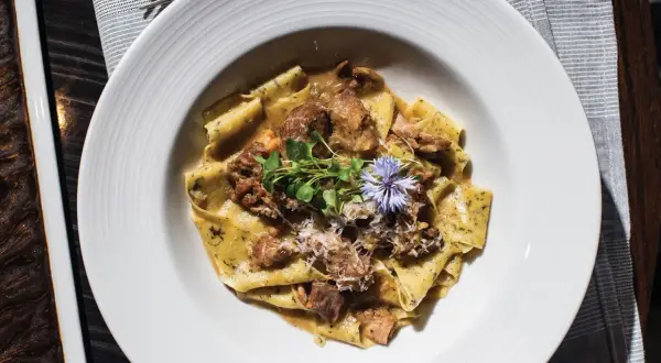 En tallrik med breda bandnudlar, möra bitar av oxfilé och en krämig sås, toppad med färska örter och en blå blomma. En utsökt oxfilé pasta.