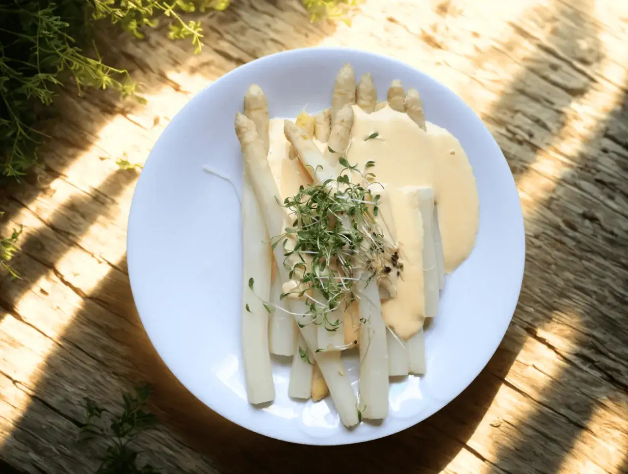Vit sparris serverad med en krämig sås och toppad med färska groddar. En klassisk vårrätt som smakar ljuvligt.
